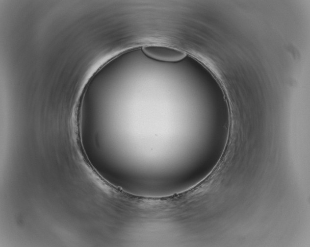 X0000113161056200909041251