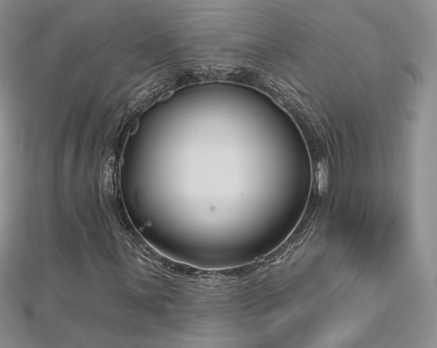 X0000113161059200909041250