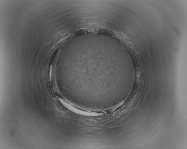 X0000113161060200909041250