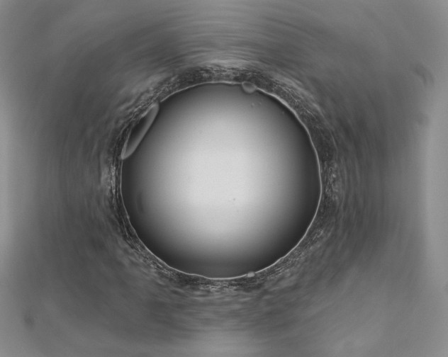 X0000113161061200909041250