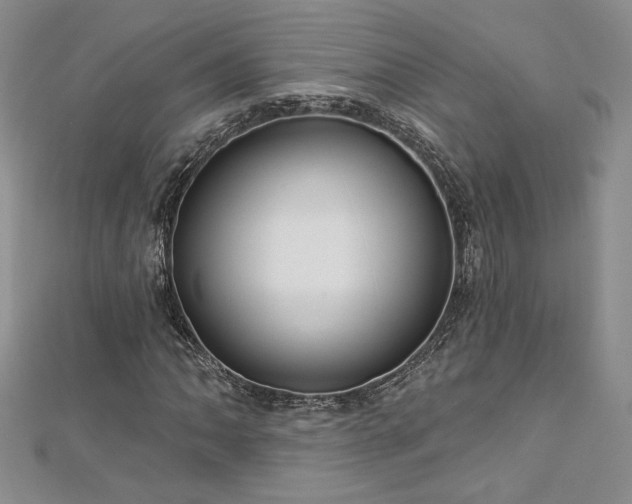 X0000113161062200909041250