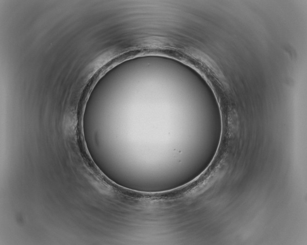 X0000113161065200909041250