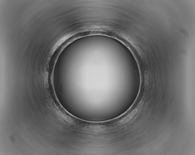 X0000113161066200909041250