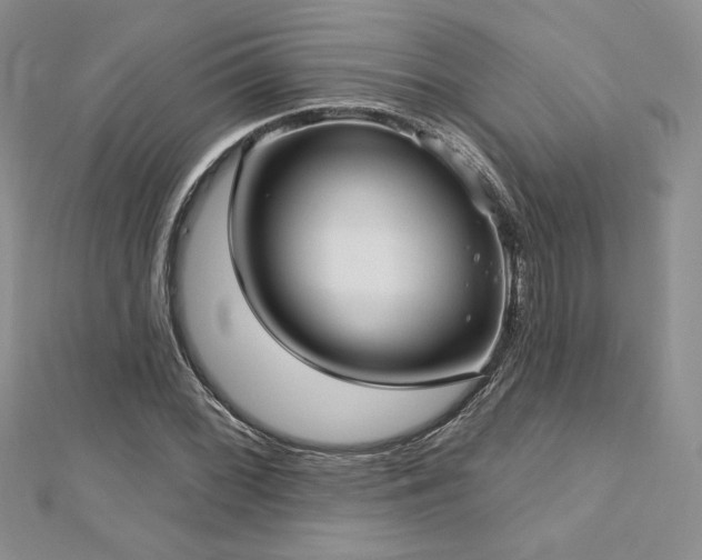 X0000113161068200909041250