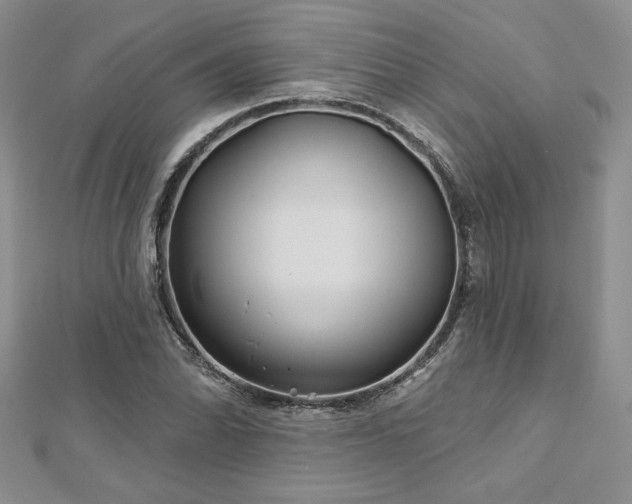 X0000113161070200909041250