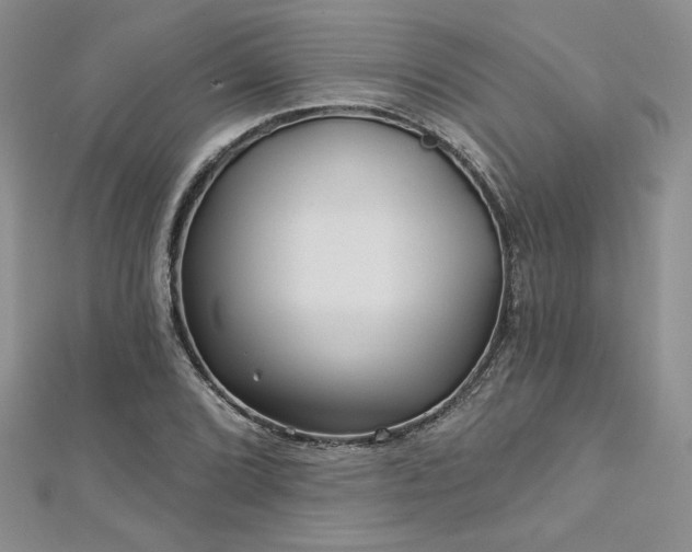 X0000113161072200909041250