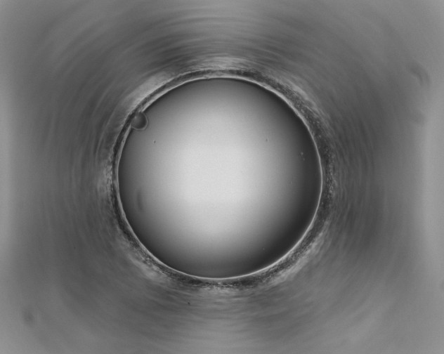 X0000113161073200909041250