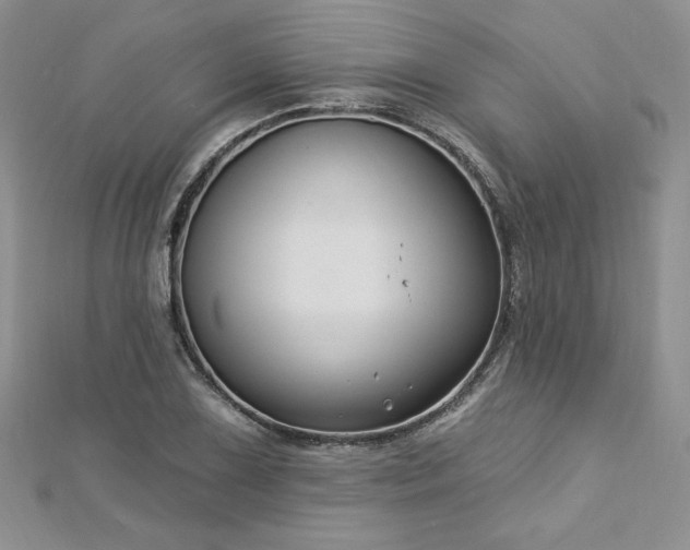 X0000113161075200909041250