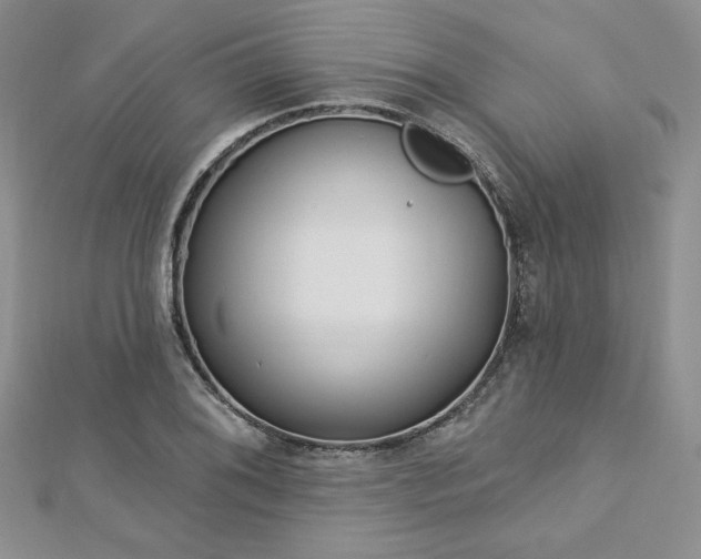X0000113161076200909041250