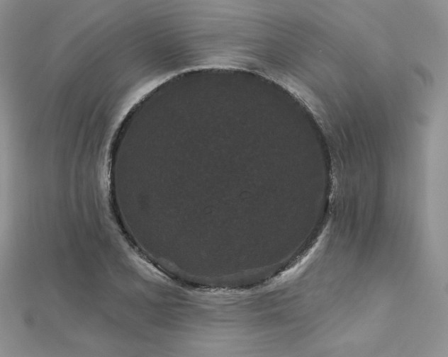 X0000113161077200909041250