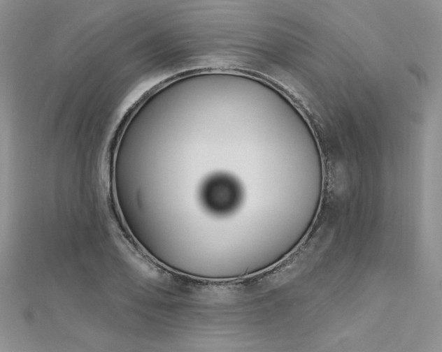 X0000113161078200909041250