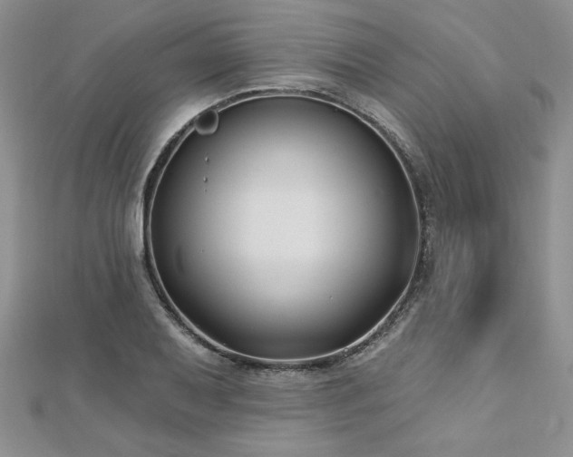X0000113161079200909041250