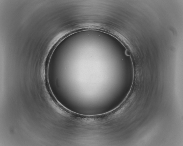 X0000113161082200909041250