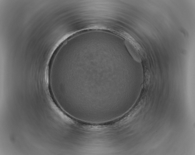X0000113161084200909041250