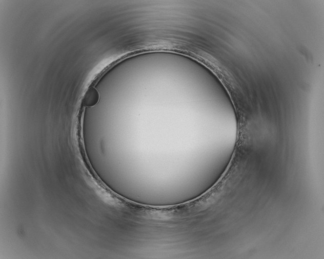 X0000113161086200909041250