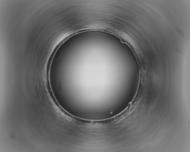 X0000113161087200909041250