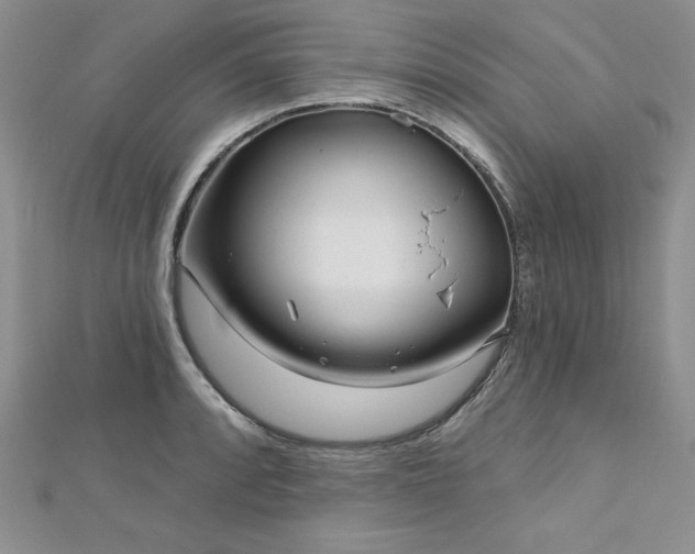 X0000113161088200909041250