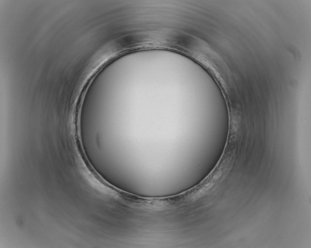 X0000113161090200909041250