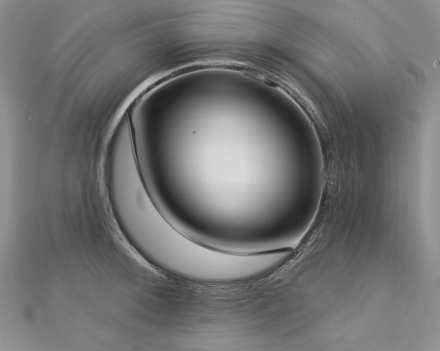X0000113161092200909041250