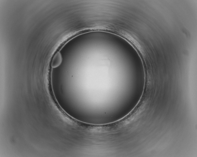 X0000113161093200909041250
