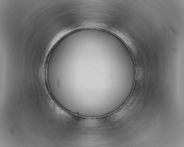 X0000113161094200909041250