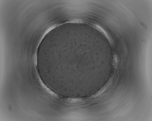 X0000113161095200909041250