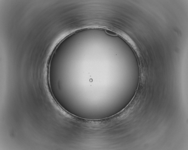 X0000113161096200909041250