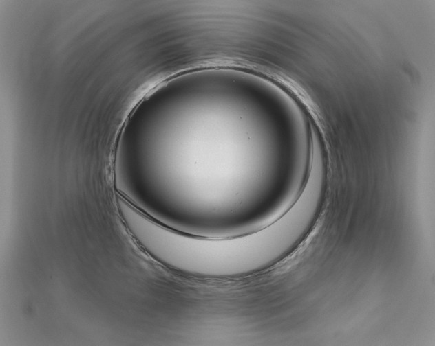 X0000113161097200909041250