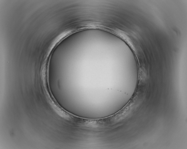 X0000113161098200909041250