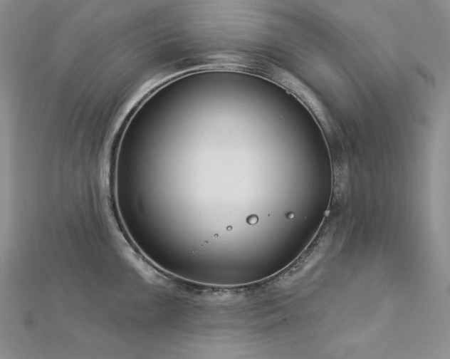X0000113161099200909041250