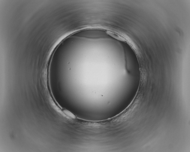 X0000113161100200909041250