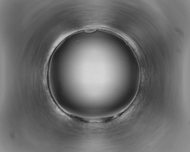 X0000113161102200909041250