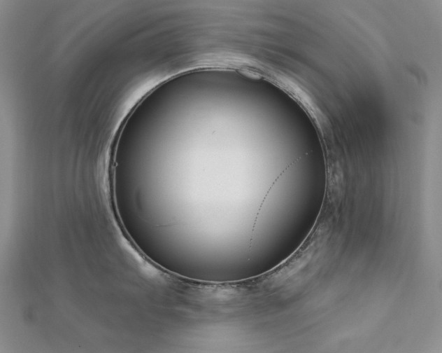 X0000113161103200909041250