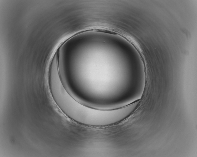 X0000113161104200909041250
