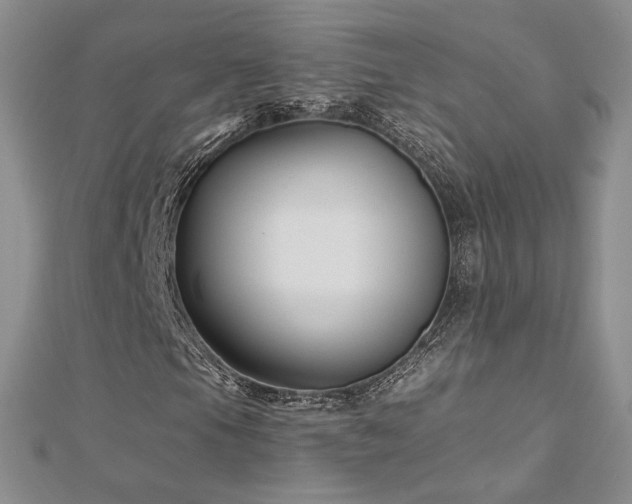 X0000113161105200909041249