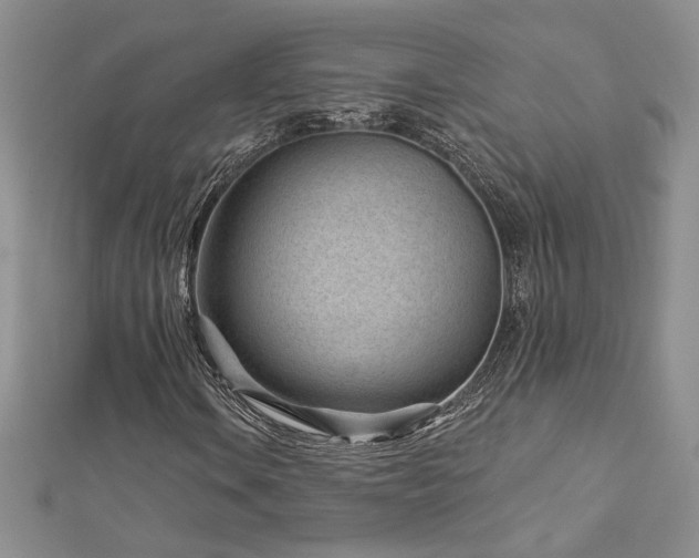 X0000113161106200909041249