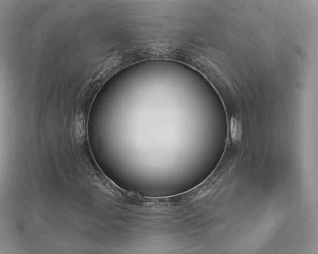 X0000113161107200909041249