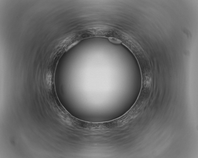 X0000113161108200909041249