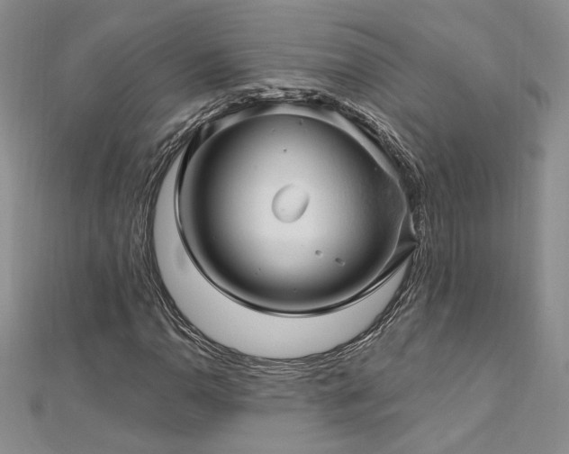 X0000113161110200909041249