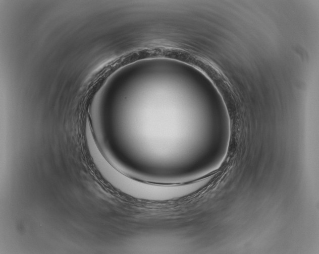 X0000113161112200909041249