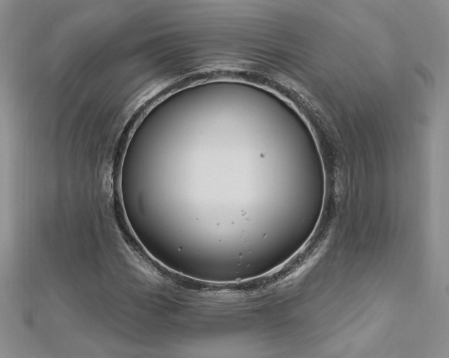 X0000113161113200909041249