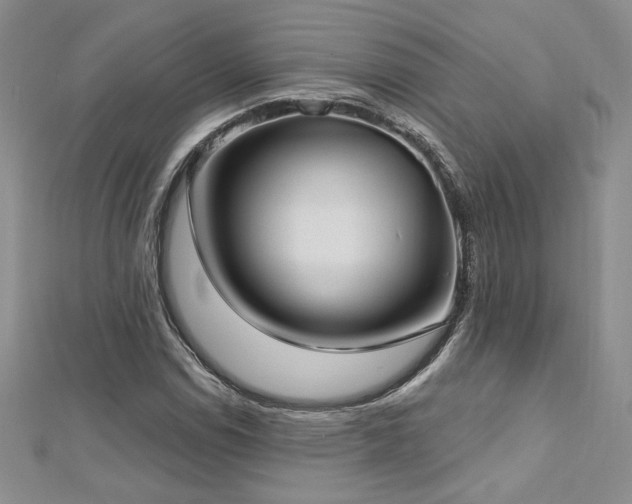 X0000113161114200909041249