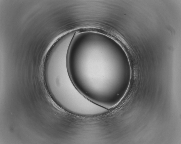 X0000113161116200909041249