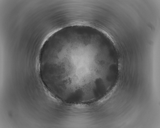 X0000113161117200909041249