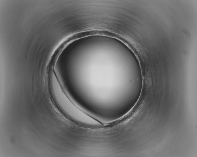 X0000113161118200909041249