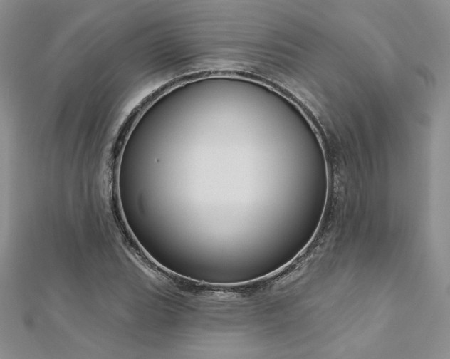 X0000113161119200909041249