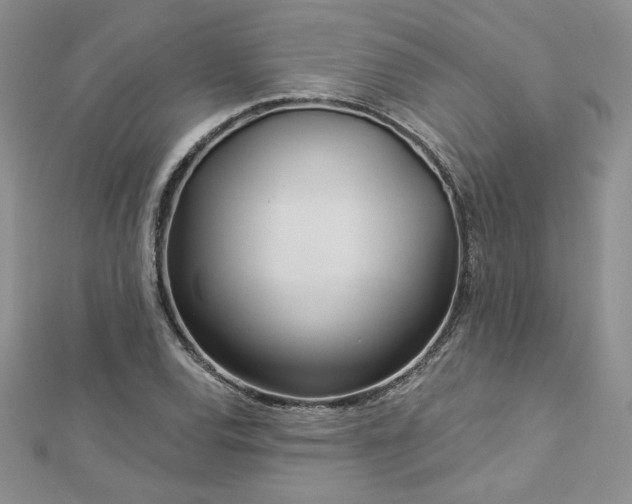X0000113161120200909041249