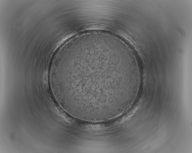 X0000113161121200909041249