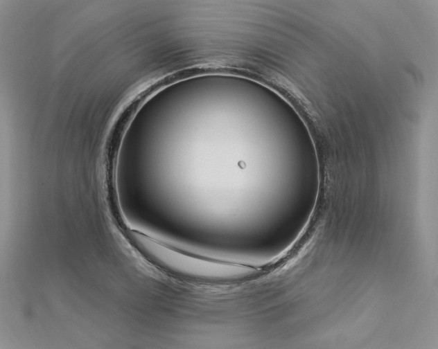X0000113161122200909041249