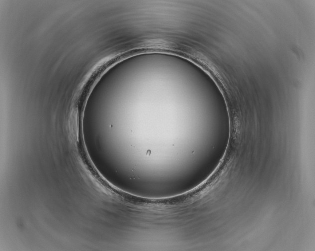 X0000113161123200909041249